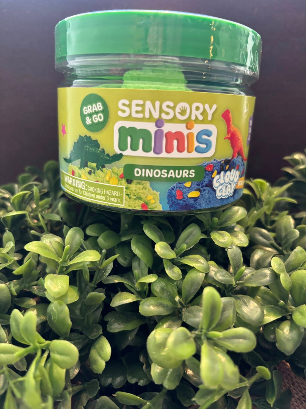Sensory Minis