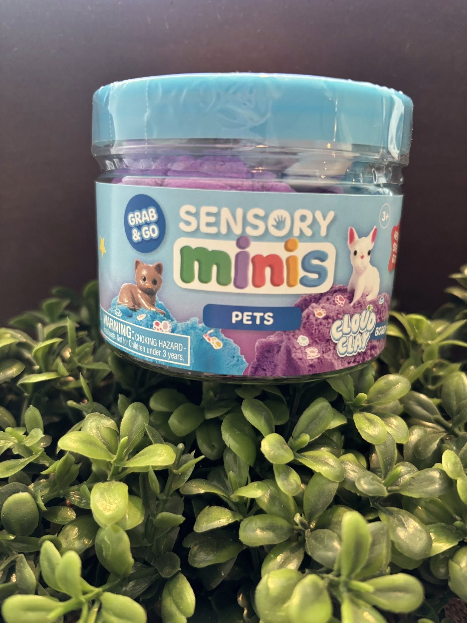 Sensory Minis