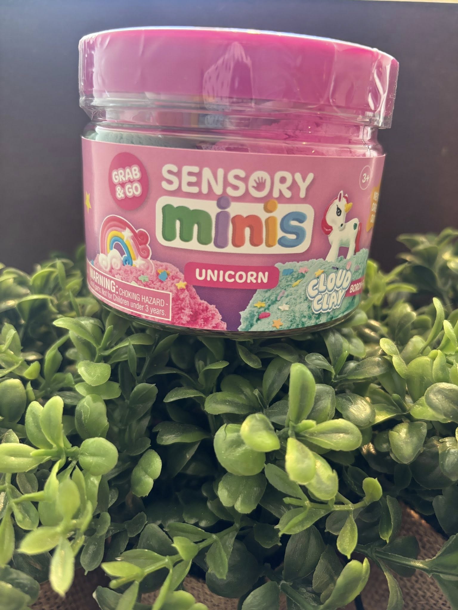 Sensory Minis
